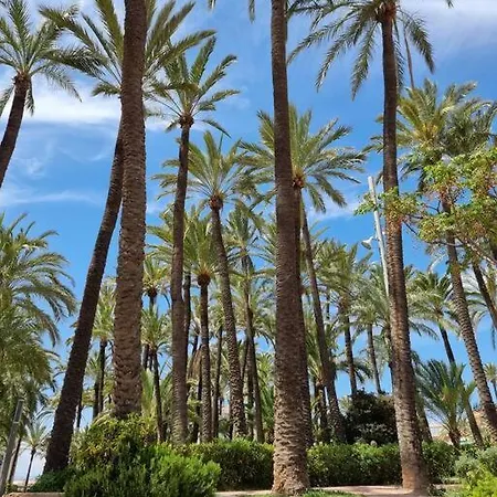 Apartament Bolivia Sea View *